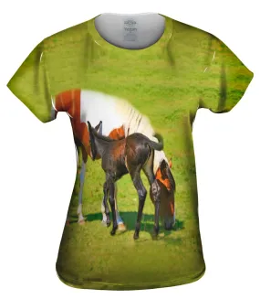 Baby And Mama Horse