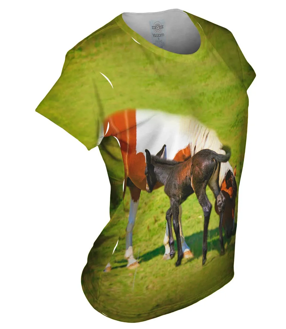 Baby And Mama Horse