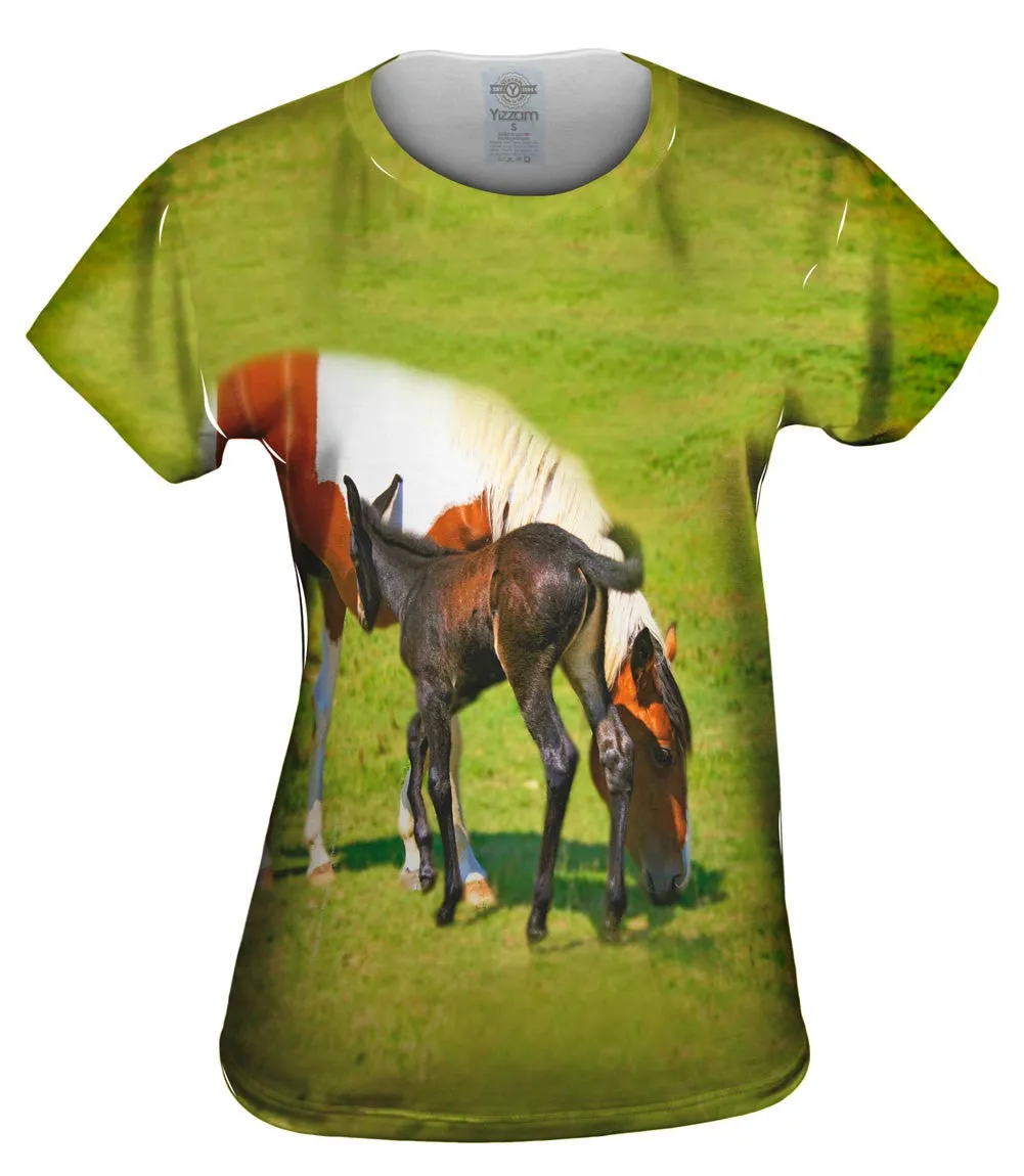 Baby And Mama Horse