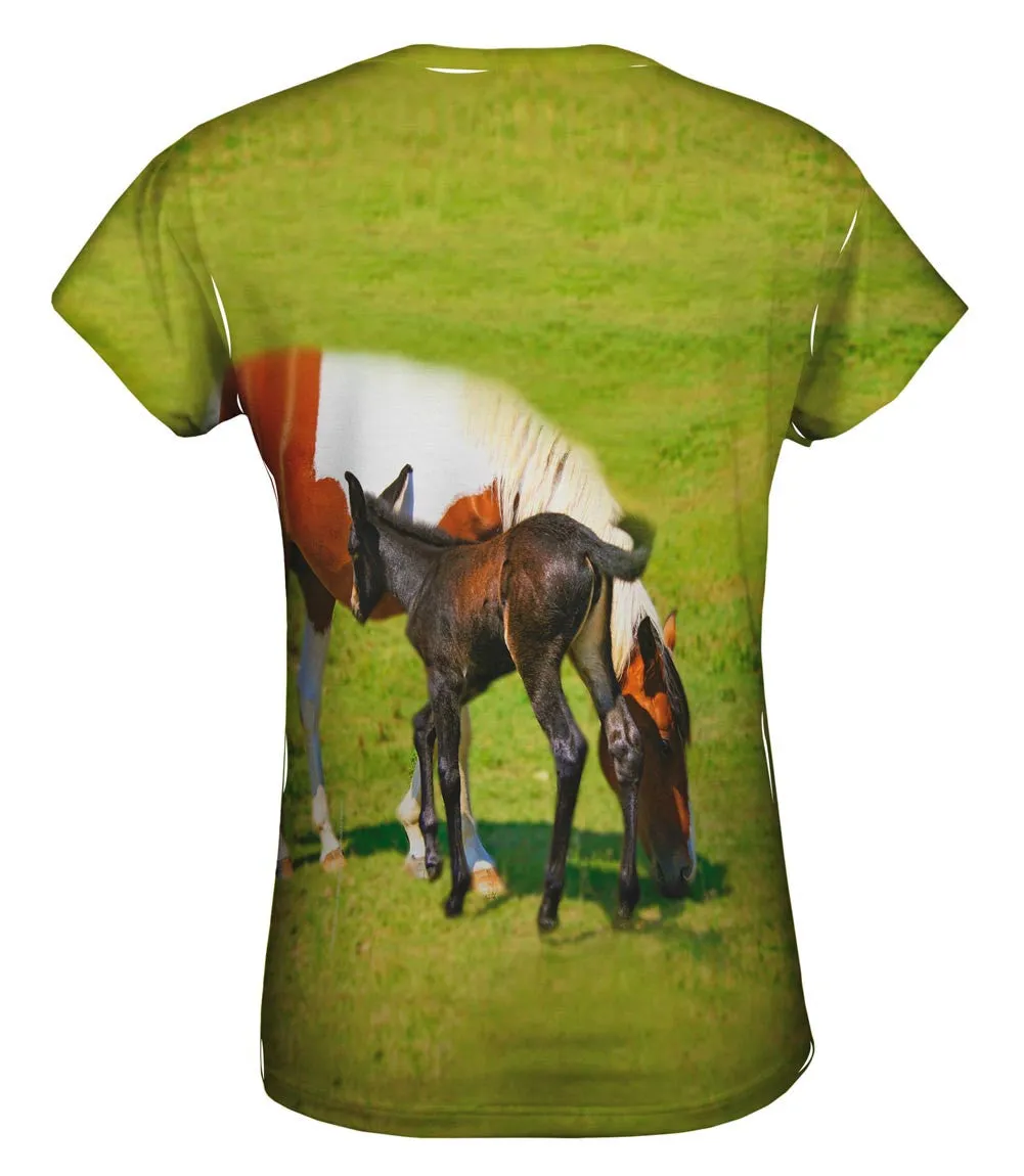 Baby And Mama Horse