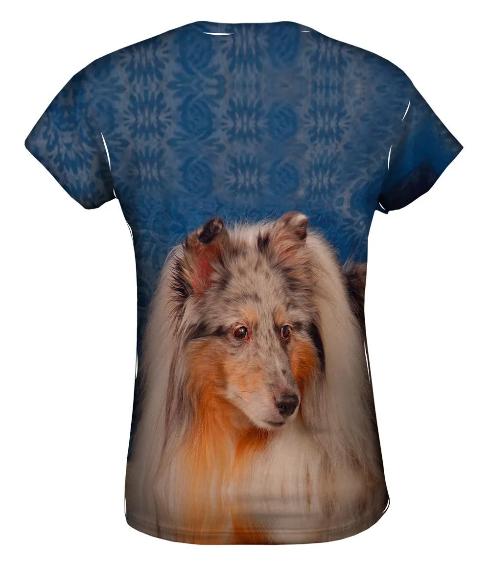 Bewildered Collie