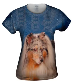 Bewildered Collie