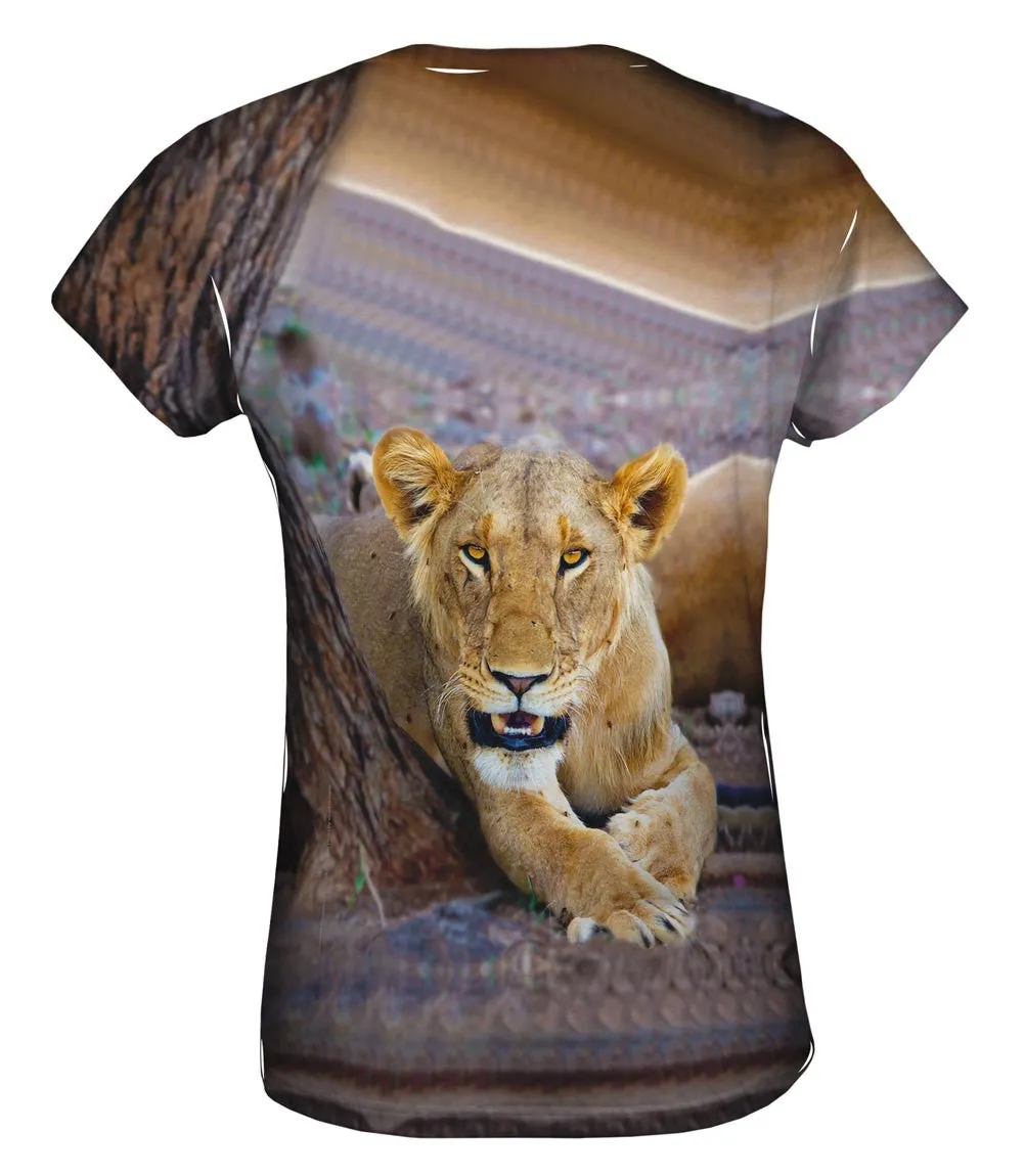 Big Cat Lion