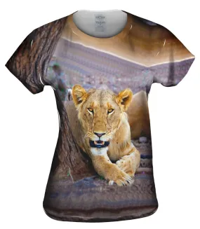 Big Cat Lion