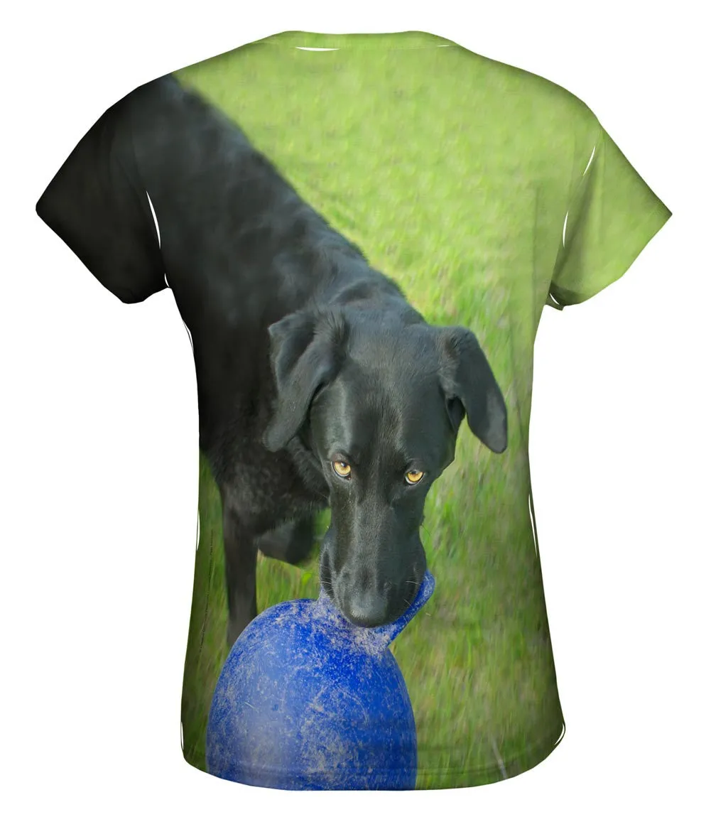 Black Lab And His Ball