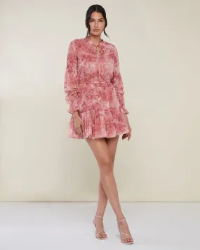 Long Sleeve Mini Dress