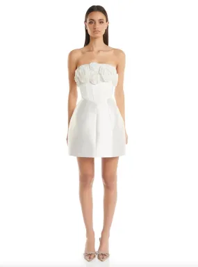 Tehanni Dress
